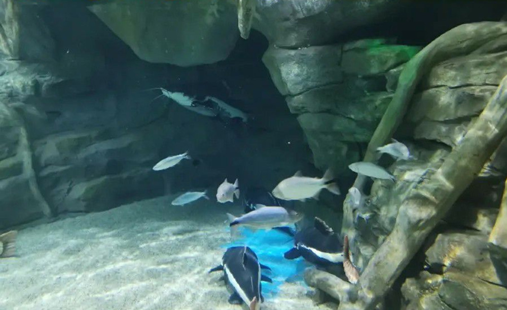 ��ҳ | J9�������޹�˾����